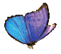 Butterfly Play